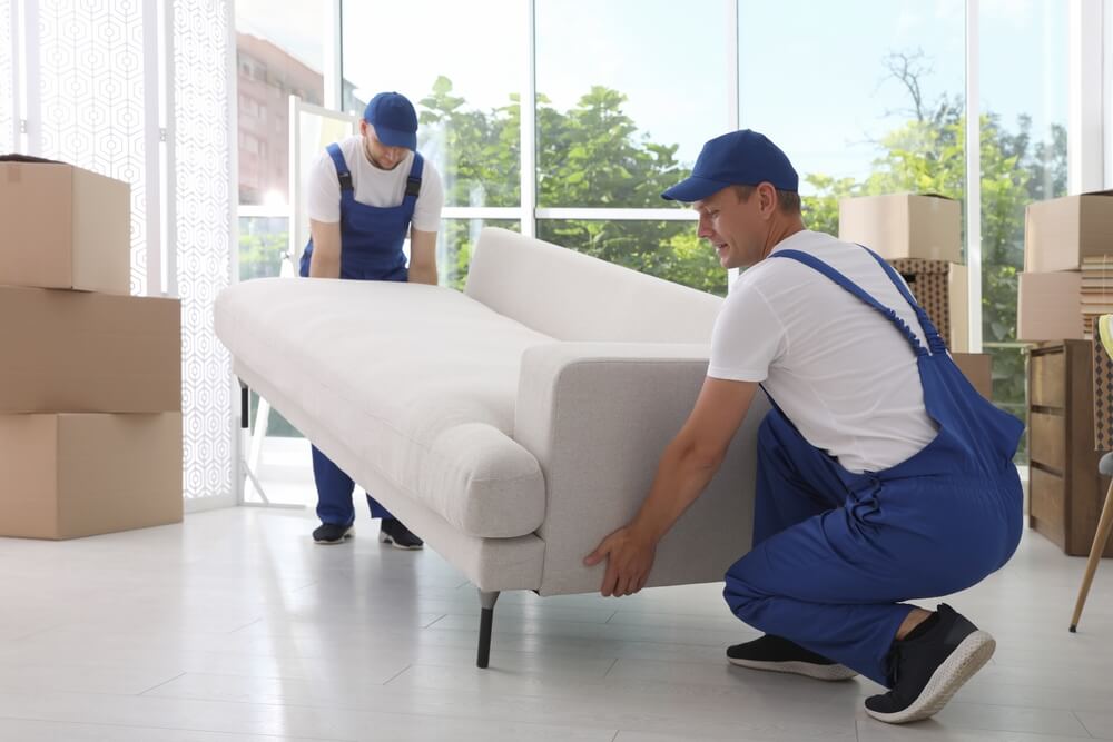 Top Moving Solutions in Livingston